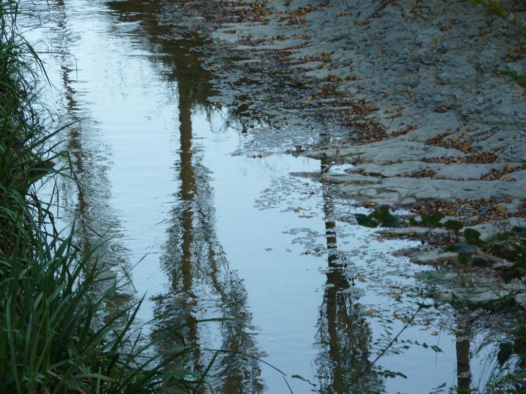 No s'ha  trobat l'arxiu